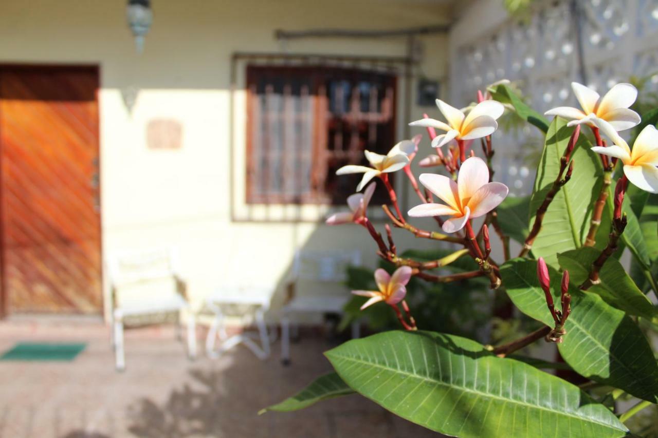 Cancun Guest House 외부 사진